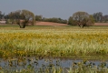045_Biebrza - kwiecien 2012